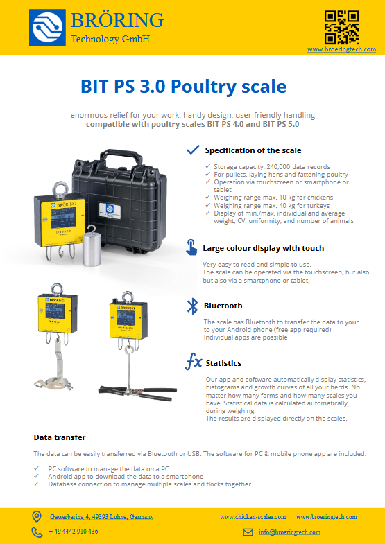 BITPS 3.0 Flyer