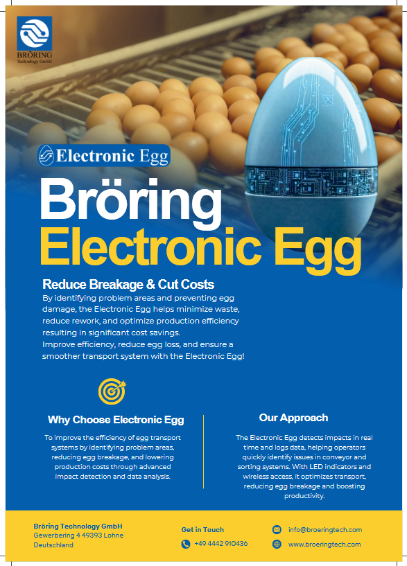 Flyer Electronig Egg
